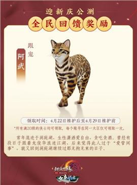 天龙八部私服报错